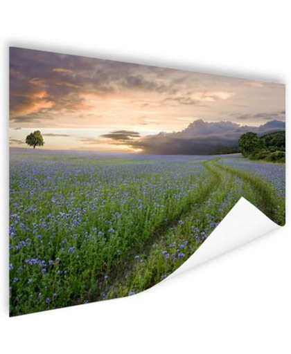 Blauwe en paarse bloemen zonsondergang Poster 60x40 cm - Foto print op Poster (wanddecoratie)
