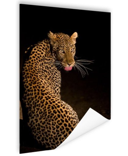 Luipaard in de nacht foto afdruk Poster 60x90 cm - Foto print op Poster (wanddecoratie)