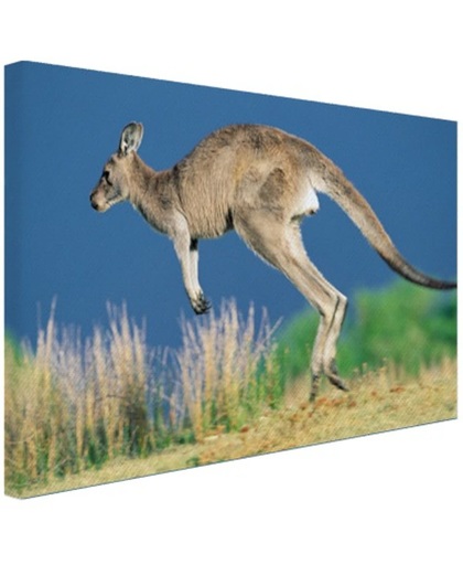 Springende kangoeroe Canvas 60x40 cm - Foto print op Canvas schilderij (Wanddecoratie)