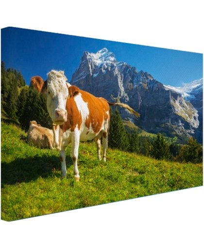Zwitserse Koeien Canvas 60x40 cm - Foto print op Canvas schilderij (Wanddecoratie)