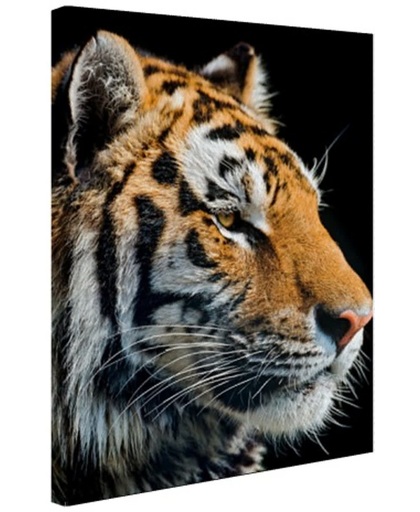 Portret Siberische tijger Canvas 40x60 cm - Foto print op Canvas schilderij (Wanddecoratie)