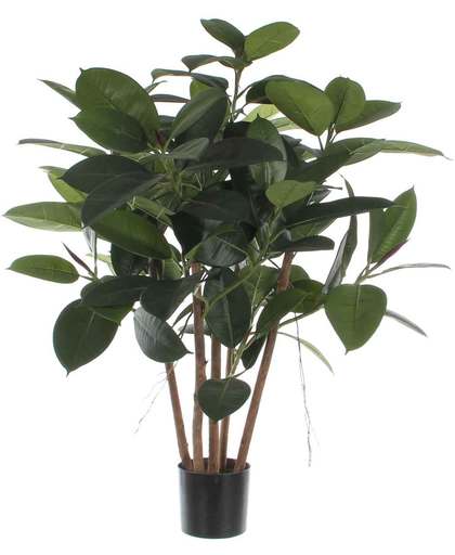 Mica flowers - ficus robusta h90d70 groen in pot