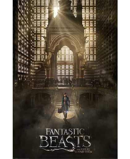 Fantastic Beasts And Where To Find Them Fantastic Beasts Teaser - Maxi Poster