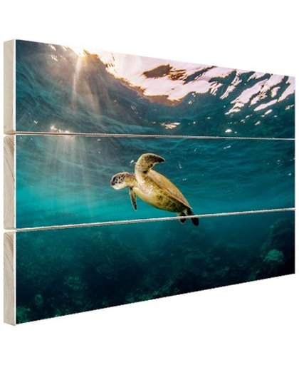Schildpad in helder water Hout 160x120 cm - Foto print op Hout (Wanddecoratie)