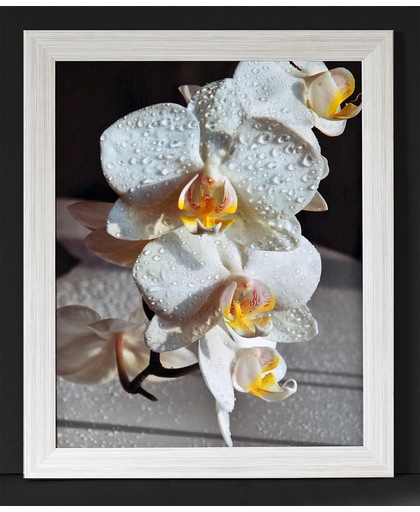 Orchidee 1  poster bloemen/stilleven/White sisal lijst