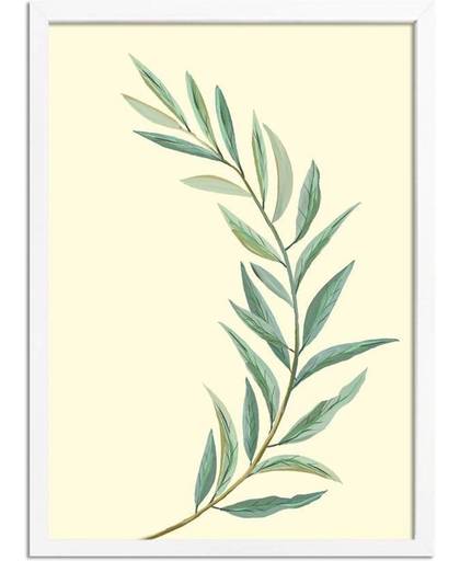 Eucalyptus blad poster Designclaud - Puur Natuur Botanical - Beige - A4 + Fotolijst wit
