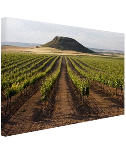 Landelijke wijngaard fotoafdruk Canvas 60x40 cm - Foto print op Canvas schilderij (Wanddecoratie)