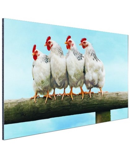 Vier Kippen op stok Aluminium 30x20 cm - Foto print op Aluminium (metaal wanddecoratie)