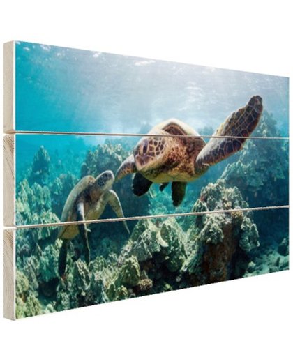 Twee zeeschildpadden Hout 60x40 cm - Foto print op Hout (Wanddecoratie)