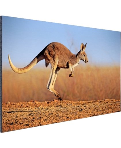 Actiefoto van kangoeroe Aluminium 30x20 cm - Foto print op Aluminium (metaal wanddecoratie)