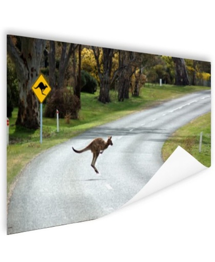 Overstekende kangoeroe Poster 60x40 cm - Foto print op Poster (wanddecoratie)