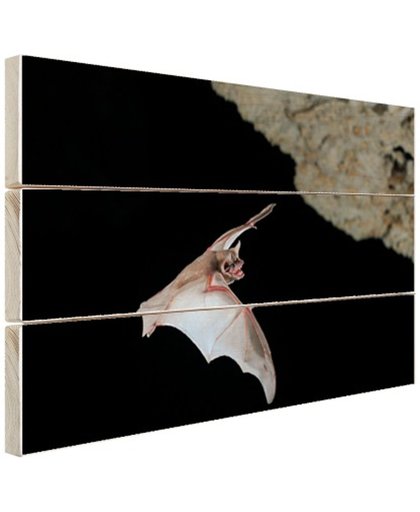 Vleermuis in grot Hout 120x80 cm - Foto print op Hout (Wanddecoratie)
