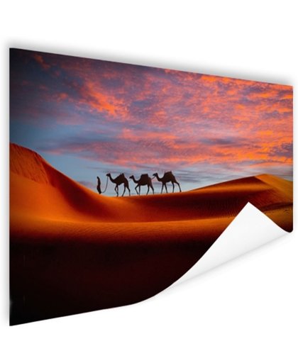 Man in het Midden-Oosten met kamelen Poster 90x60 cm - Foto print op Poster (wanddecoratie)