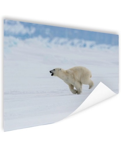 Ijsbeer bij bevroren zeeijs Poster 150x75 cm - Foto print op Poster (wanddecoratie)