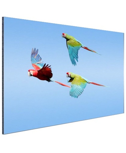 Drie vliegende aras Aluminium 60x40 cm - Foto print op Aluminium (metaal wanddecoratie)