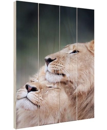 Twee leeuwen close-up foto Hout 120x160 cm - Foto print op Hout (Wanddecoratie)