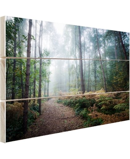 Een mistig pad door het bos Hout 120x80 cm - Foto print op Hout (Wanddecoratie)