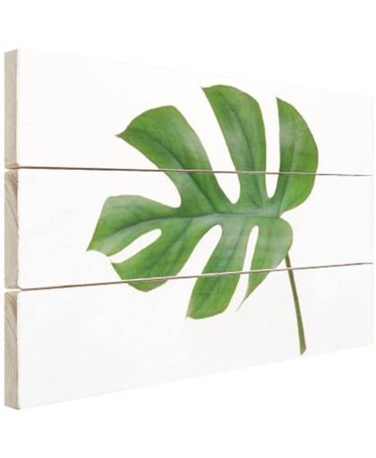 Botanische print blad Hout 30x20 cm - Foto print op Hout (Wanddecoratie)