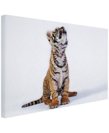 Omhoogkijkende tijgerwelp Canvas 120x80 cm - Foto print op Canvas schilderij (Wanddecoratie)