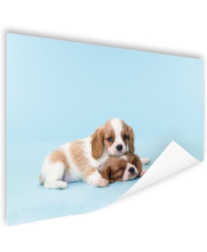 Twee slaperige pups Poster 150x75 cm - Foto print op Poster (wanddecoratie)