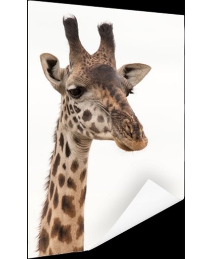 Portret van een giraffe Poster 60x90 cm - Foto print op Poster (wanddecoratie)