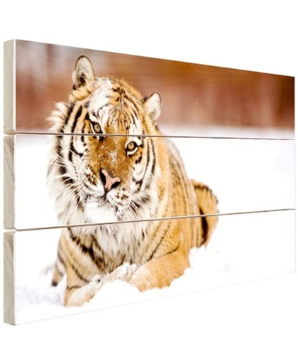 Amur tijger in de sneeuw Hout 60x40 cm - Foto print op Hout (Wanddecoratie)