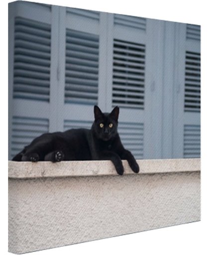 Zwarte kat aan het rusten Canvas 30x20 cm - Foto print op Canvas schilderij (Wanddecoratie)