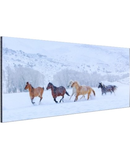 Kudde paarden in de sneeuw Aluminium 90x60 cm - Foto print op Aluminium (metaal wanddecoratie)