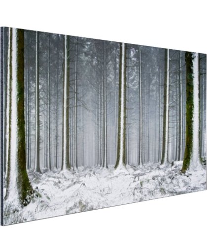 Besneeuwde bomen in de winter Aluminium 30x20 cm - Foto print op Aluminium (metaal wanddecoratie)