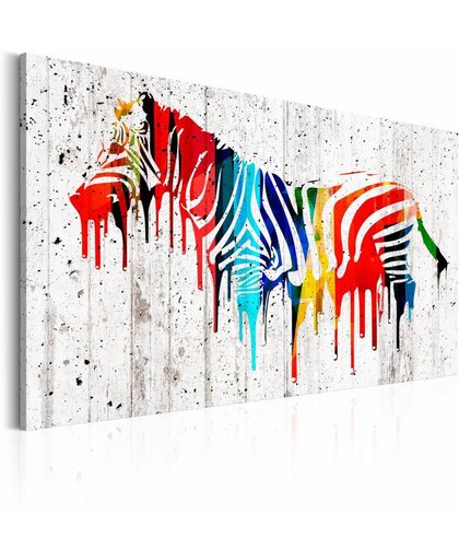 Schilderij Zebra in kleur