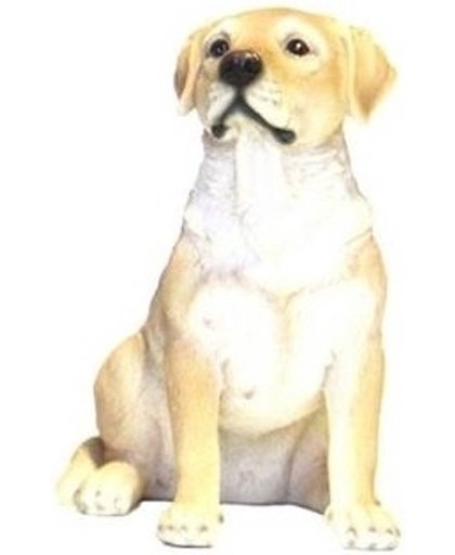 Beeldje zittende blonde Labrador hond 21 cm