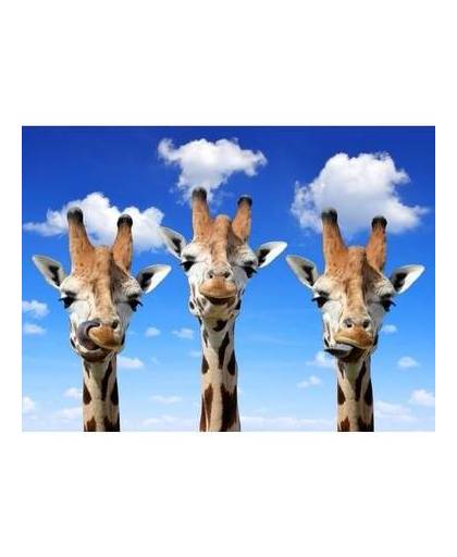 Dieren magneet 3d giraffes