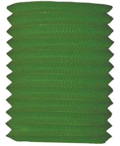 Treklampion groen 20 cm