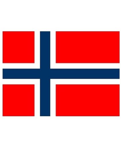 Mini vlag Noorwegen 60 x 90 cm