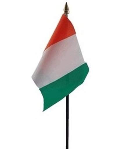 Ivoorkust mini vlaggetje op stok 10 x 15 cm