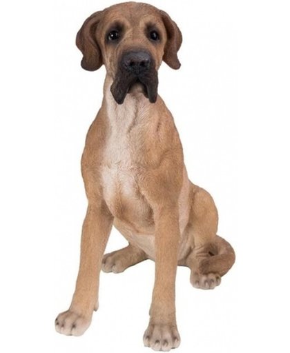 Beeld bruine Deense hond 36 cm