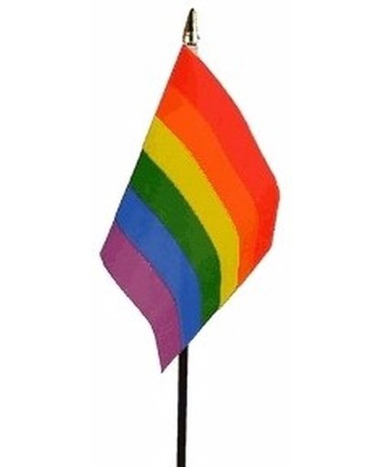 Regenboog mini vlaggetje op stok 10 x 15 cm  - LHTB / gay parade
