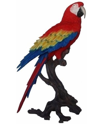 Luxe tropische vogel beeld papegaai 70 cm