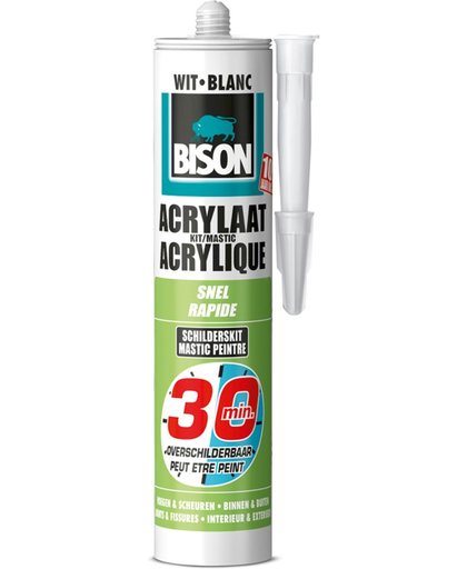 Bison Acrylaatkit 30 Minuten - Overschilderbaar - 310 ml