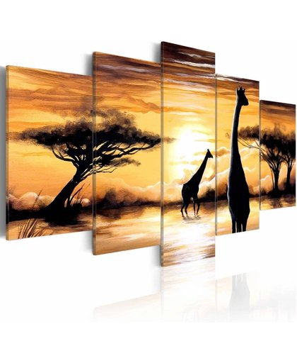 Schilderij - Mooi  Afrika, Giraffe