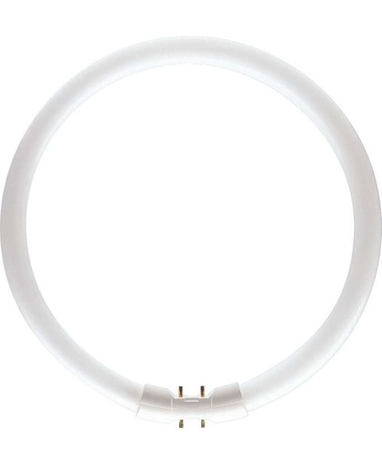 Philips MASTER TL5 Circular 22.3W 2GX13 A Warm wit fluorescente lamp