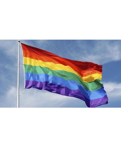 Regenboog vlag 90 x 150 cm