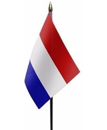 Nederland mini vlaggetje op stok 10 x 15 cm