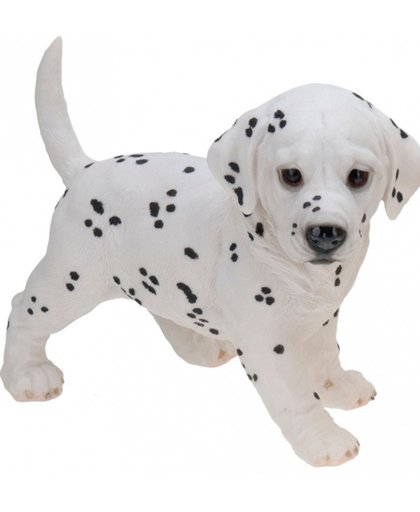 Honden beeldje staande Dalmatier puppy 29 cm