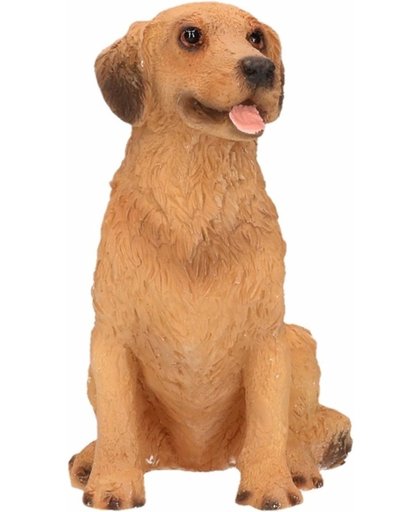 Beeldje Golden Retriever hond 11 cm