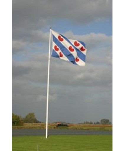 Vlag Friesland 75D poly 90x150cm