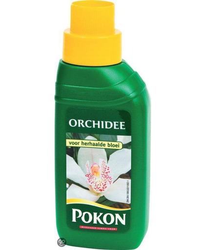 Pokon Plantenvoeding Orchidee - 250 ml