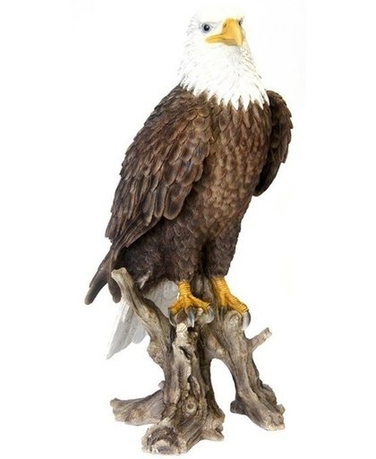 Tuindecoratie beelden adelaar staand 68 cm - Polystone beeldje roofvogel op stam 68 cm