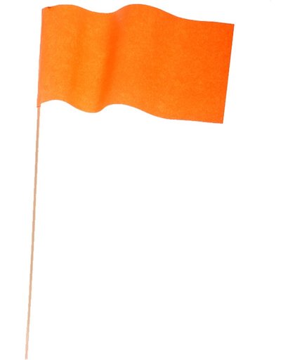 Oranje papieren zwaaivlaggetje