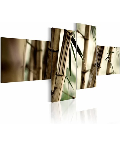 Schilderij - Bamboe als inspiratie